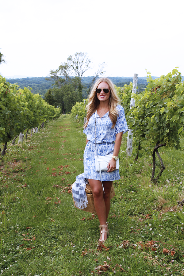 Blue Printed Kimono Dress