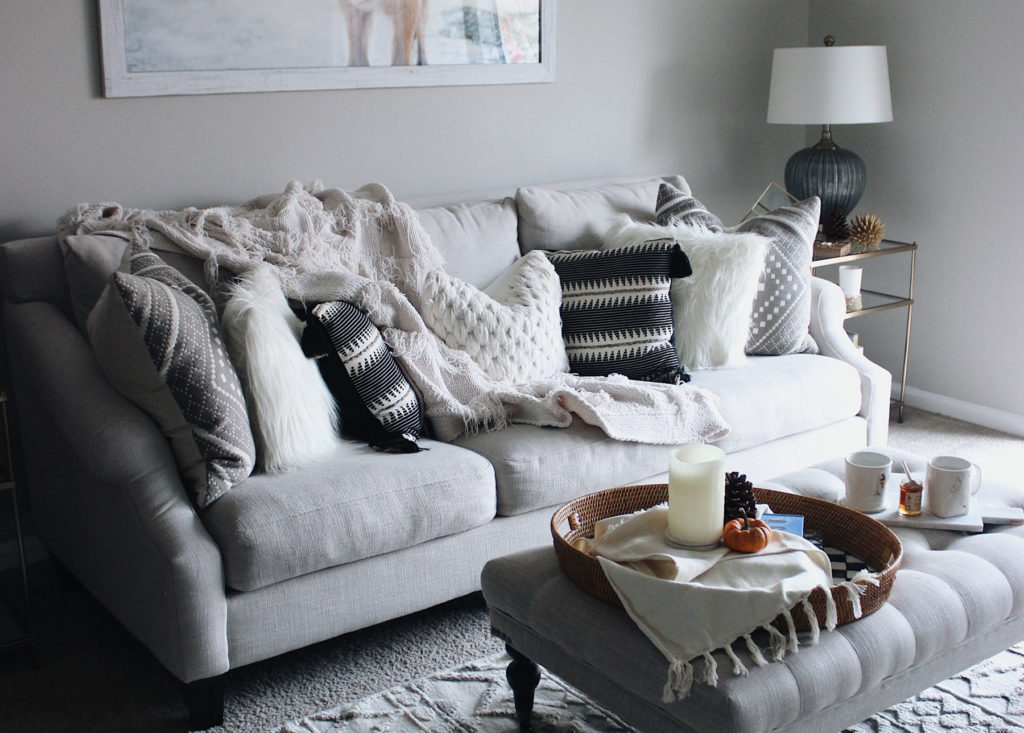 Fur Pillows Cozy Living Room